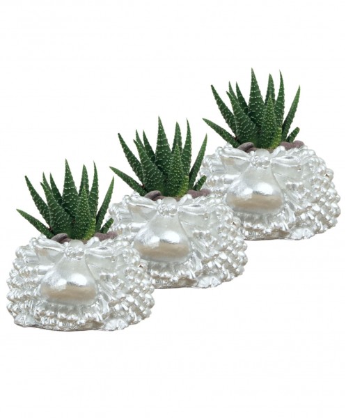 Mini Çiçek Saksı Küçük Sukulent Gümüş Kaktüs Saksısı 3lü Set Koyun Model